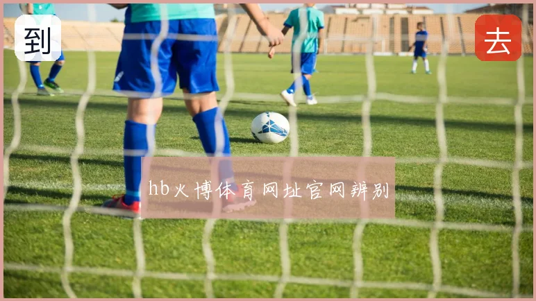 hb火博体育网址官网辨别